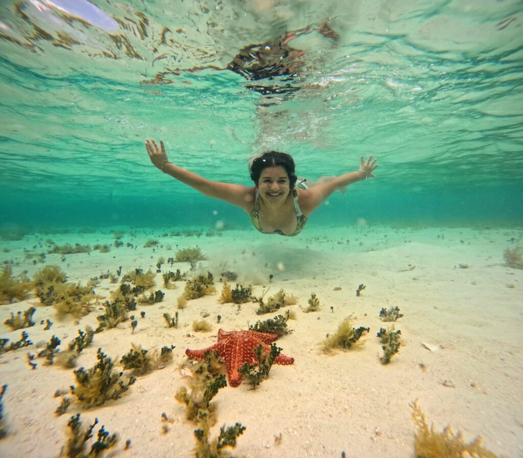 gopr0346 1742062752260 edit 14164488400766